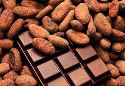 Beneficios del cacao Beneficios del cacao
