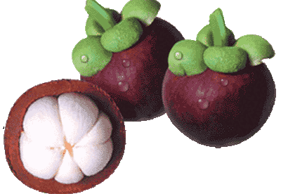 Beneficios del mangostán Beneficios del mangostán