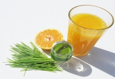 Beneficios del wheatgrass o pasto de trigo Beneficios del wheatgrass o pasto de trigo
