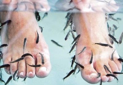 Beneficios de la ictioterapia o terapia con peces Beneficios de la ictioterapia o terapia con peces