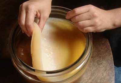 Beneficios de la Kombucha Beneficios de la Kombucha