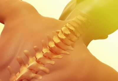 Causas y prevención del dolor de espalda Causas y prevención del dolor de espalda