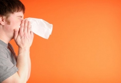 Cómo prevenir las alergias naturalmente Cómo prevenir las alergias naturalmente