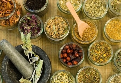 Cómo recolectar las plantas medicinales Cómo recolectar las plantas medicinales