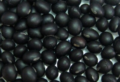 Beneficios de la soja negra Beneficios de la soja negra