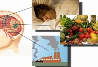 Consejos para mantener un cerebro sano Consejos para mantener un cerebro sano