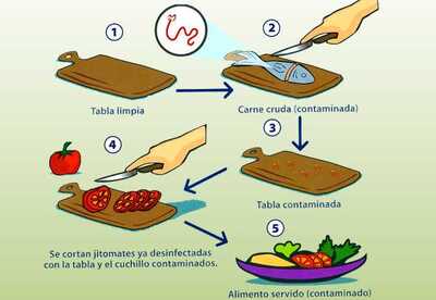 Contaminación cruzada de alimentos Contaminación cruzada de alimentos
