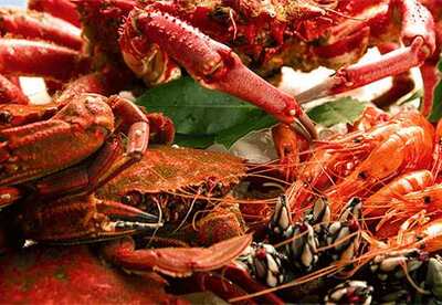 Cuidado con el consumo de Mariscos en Navidad Cuidado con el consumo de Mariscos en Navidad