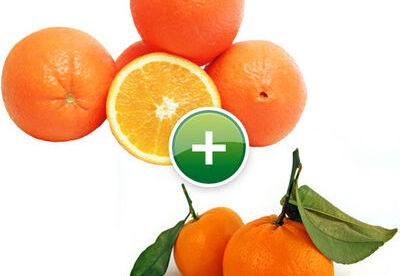 ¿Cuál es la diferencia nutricional entre la naranja y la mandarina? Nutrientes naranja y mandarina ¿Cuál es la diferencia nutricional entre la naranja y la mandarina? Nutrientes naranja y mandarina