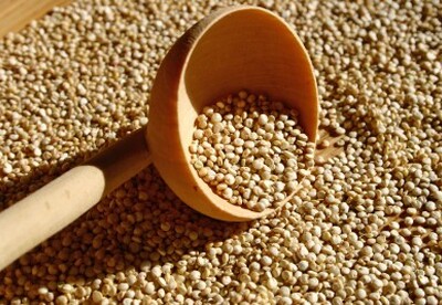 Diferencias nutricionales entre la soja y quÃnoa Diferencias nutricionales entre la soja y quÃnoa