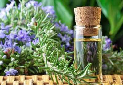 Eliminar celulitis con aceites esenciales cuales son los mejores Eliminar celulitis con aceites esenciales cuales son los mejores