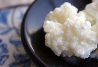 El Kéfir, un probiótico nutritivo y saludable El Kéfir, un probiótico nutritivo y saludable