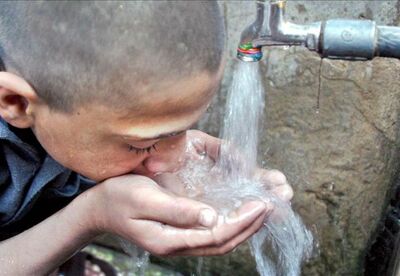Enfermedades que se transmiten por el agua Enfermedades que se transmiten por el agua