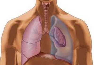 Fibrosis quística y nutrición (II) Fibrosis quística y nutrición (II)