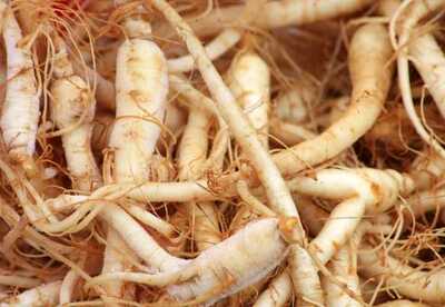Ginseng para que sirve Ginseng para que sirve
