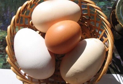 Alimentos de asimilación lenta Alimentos de asimilación lenta