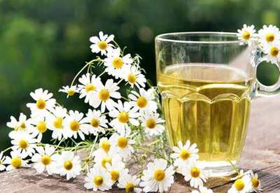Infusiones sin cafeína Infusiones sin cafeína