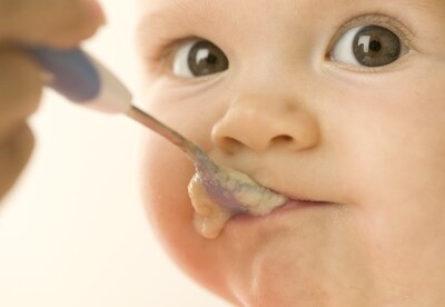 La alimentación del bebé en sus primeros años La alimentación del bebé en sus primeros años