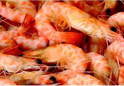 Langostinos para cuidar de la salud Langostinos para cuidar de la salud