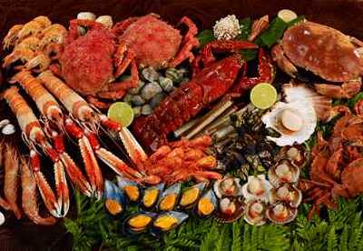 Las consecuencias de abusar de los mariscos Las consecuencias de abusar de los mariscos