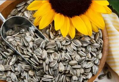 Las pipas de girasol beneficios Las pipas de girasol beneficios