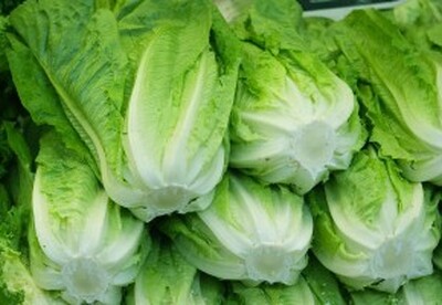 Lechuga, seda los nervios y sacia el estómago Lechuga, seda los nervios y sacia el estómago