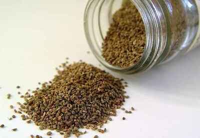 Los beneficios a la salud de la semilla de apio Los beneficios a la salud de la semilla de apio