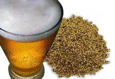 Los beneficios de la levadura de cerveza para tu salud y belleza Los beneficios de la levadura de cerveza para tu salud y belleza
