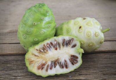Noni para la diabetes Noni para la diabetes