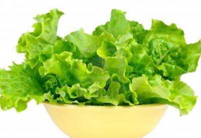 Para que sirve la lechuga Para que sirve la lechuga