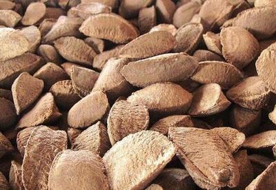 Para que sirven las nueces del Brasil Para que sirven las nueces del Brasil