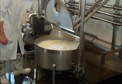 Pasteurización de la leche, mitos y verdades Pasteurización de la leche, mitos y verdades