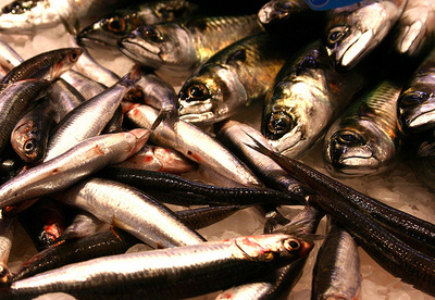 Los beneficios del pescado azul Los beneficios del pescado azul