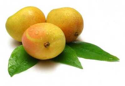 Propiedades curativas del mango Propiedades curativas del mango