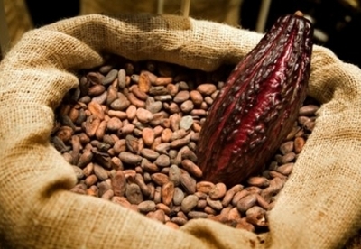Propiedades y beneficios del cacao para la salud Propiedades y beneficios del cacao para la salud