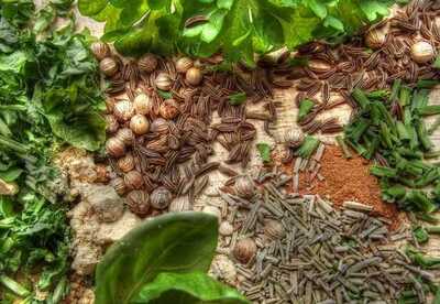 Propiedades de las hierbas aromáticas Propiedades de las hierbas aromáticas