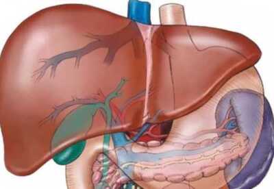 Que es la Cirrosis Causas síntomas y tratamiento Que es la Cirrosis Causas síntomas y tratamiento