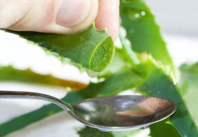 Receta con aloe vera para la gastritis Receta con aloe vera para la gastritis