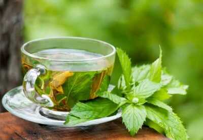 Té de toronjil propiedades Té de toronjil propiedades