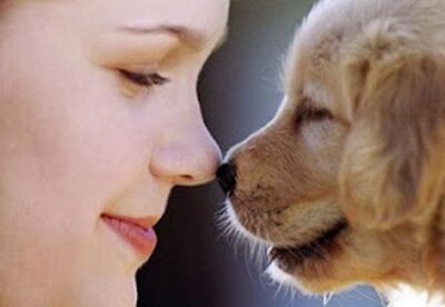 Tener una mascota nos ayuda a eliminar el estrés Tener una mascota nos ayuda a eliminar el estrés