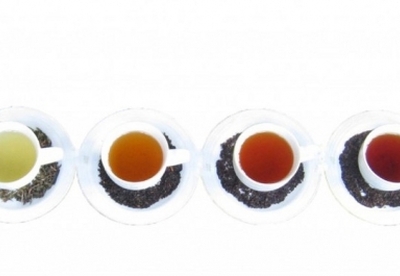 Tipos de té y sus beneficios para la salud Tipos de té y sus beneficios para la salud