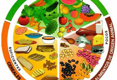 Tipos de alimentos: animal, vegetal y mineral Tipos de alimentos: animal, vegetal y mineral