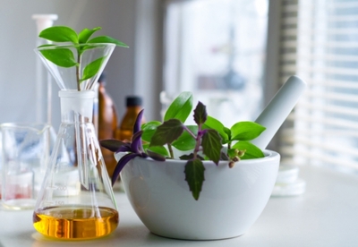 Tipos de preparados medicinales para uso interno y externo Tipos de preparados medicinales para uso interno y externo
