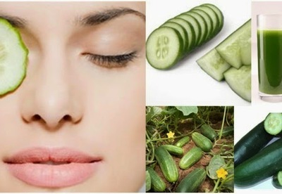 Usos medicinales del pepino Usos medicinales del pepino