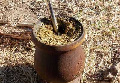 Yerba mate para adelgazar ¿funciona? Yerba mate para adelgazar ¿funciona?