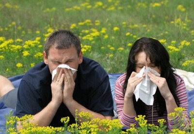 Alergias de primavera Alergias de primavera