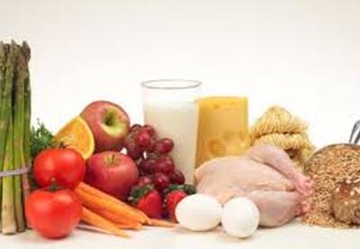 La alimentación a través de los tiempos La alimentación a través de los tiempos