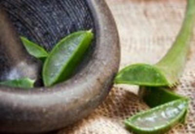 Principios terapéuticos del Aloe Vera Principios terapéuticos del Aloe Vera