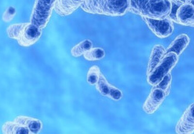 Yo soy yo y mis bacterias Yo soy yo y mis bacterias