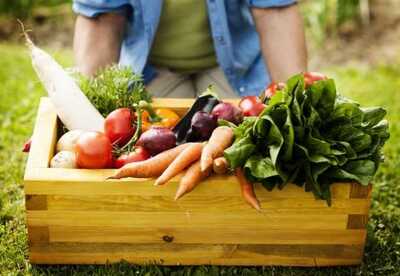 La dieta crudívora y sus beneficios La dieta crudívora y sus beneficios